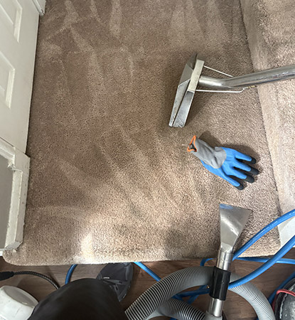 Professional Carpet Cleaning Professional Carpet Cleaning