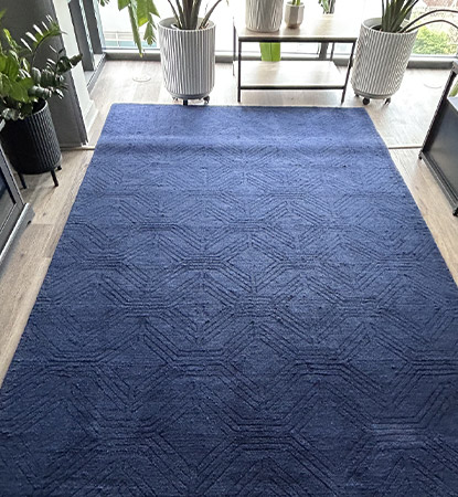 Professional Rug Cleaning Service Professional Rug Cleaning Service