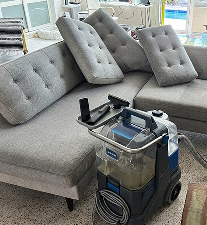Professional Upholstery Cleaning Professional Upholstery Cleaning