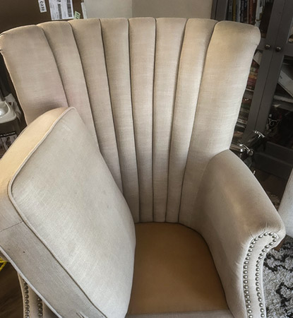 Professional Upholstery Cleaning Service Professional Upholstery Cleaning Service