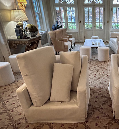 Professional Upholstery Cleaning Service Professional Upholstery Cleaning Service